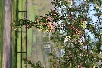 Bed & Breakfast Summerhouse Bristol