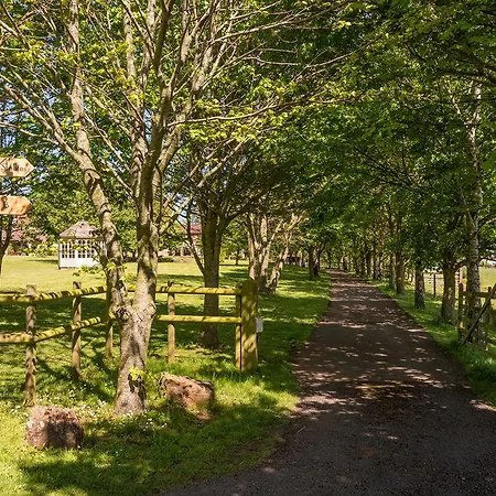 Summerhouse Bed & Breakfast Bristol