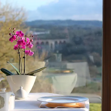 Bed & Breakfast Summerhouse Bristol