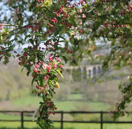 Summerhouse לינה וארוחת בוקר