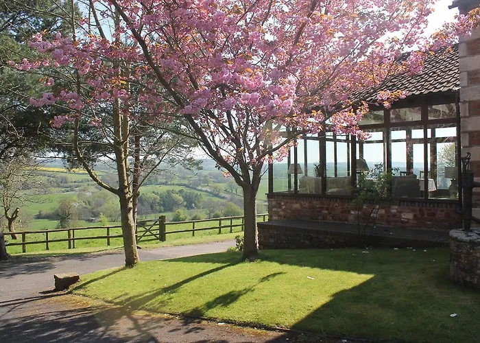 Bed & Breakfast Summerhouse